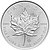 Silber Maple Leaf 1 oz - diverse Jahrgänge