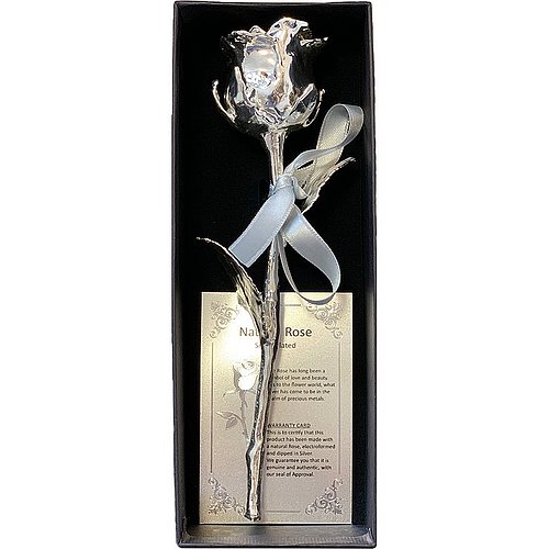 Eine echte Rose, die versilbert wurde, liegt in der Geschenkbox.