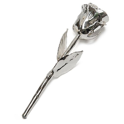 Eine echte Rose, die versilbert wurde.